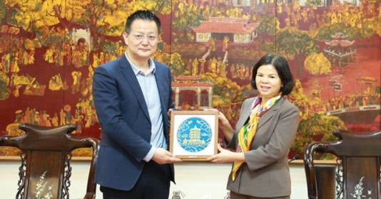 Tập đoàn Trung Quốc có kế hoạch xây dựng nhà máy trị giá 50 triệu USD tại Bắc Ninh