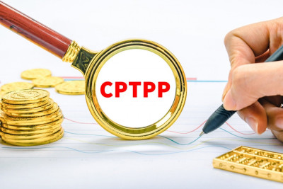  Vietnam receives more than 11 billion USD of FDI from CPTPP countries