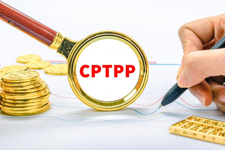 Vietnam receives more than 11 billion USD of FDI from CPTPP countries